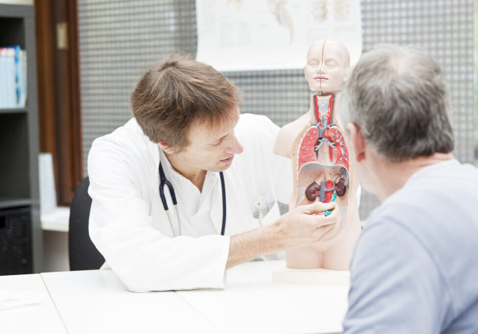 A medicine,explaining urological problems to a patient.